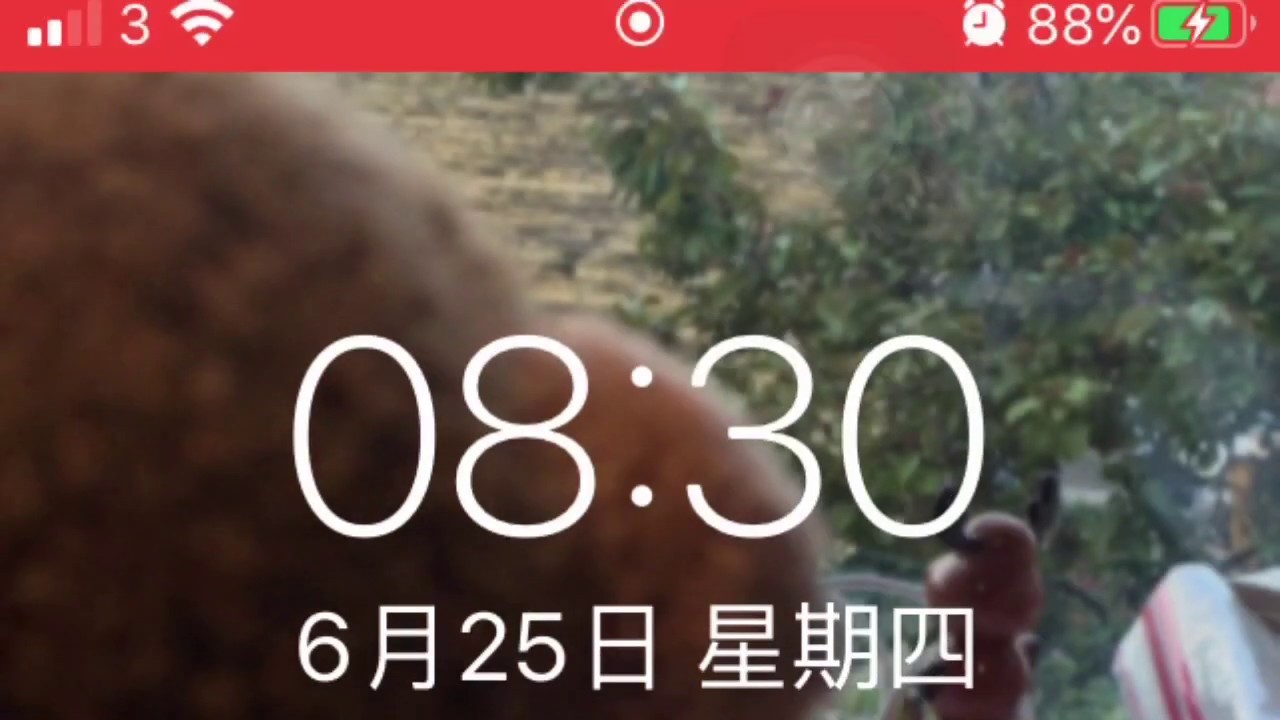iPhone glitch 