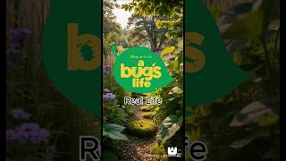 Bugs Life Real Life
