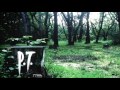 P.T. All In-Game Voice Audio