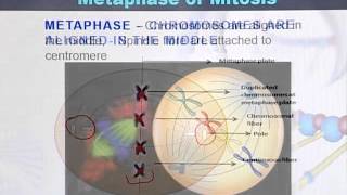 BIO301_Topic055
