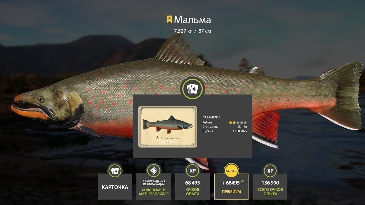 📢СТРИМ РР4🔥ВЕЧЕРНИЕ ХОДИЛКИ ПО ВОДОЕМАМ ДЕНЬ 5🔥РУССКАЯ РЫБАЛКА 4