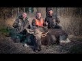 Коллективная охота на лося и кабана / загонная охота по правилам / читайте описание под видео
