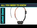 Garmin Alpha TT 25: The Ultimate Dog Tracking &amp; Training Collar?