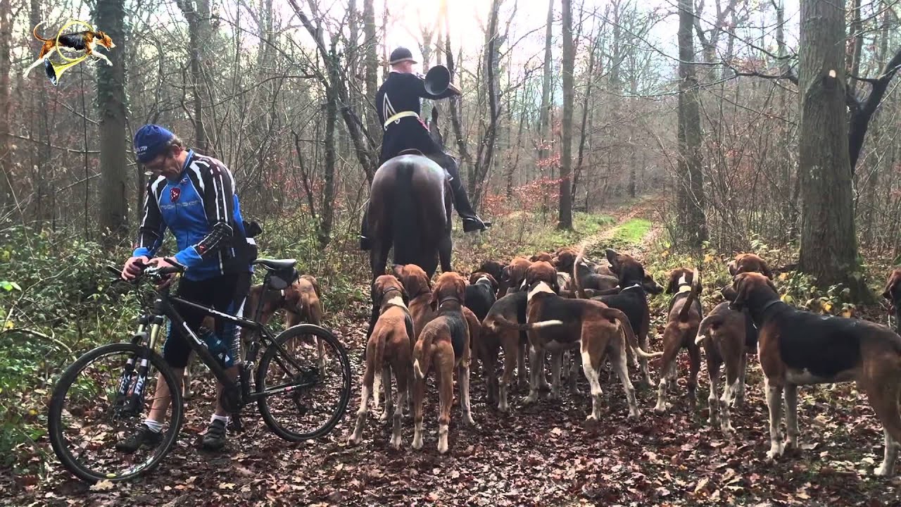 Rallye Trois Forêt