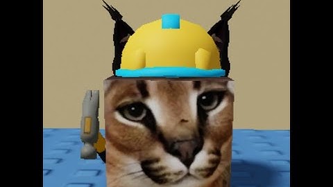 How to Find "Builder Floppa" In Find the Floppa Morphs