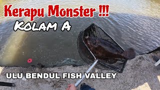 KERAPU MONSTER VS JENAHAK BANTAL UBFV !! SETUP BARU LANDBASE SABER LITE DC 101HG & LANDBASE JAEGER.
