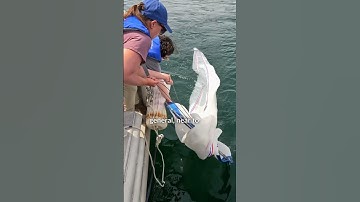 Plankton Research at UNE!