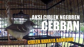 BRANDY WATCH : Aksi Ciblek Malam Minggu Ngebren Panjang Satukan Ciblek Baraya Bandung