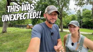 NEW ANIMALS On The Farm. NEW METAL On The Barn!