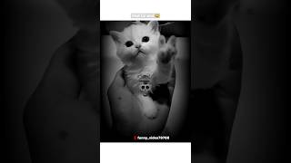 Wait For End shorts funny shortsfeed comedy memes