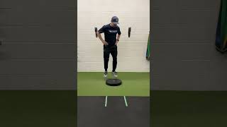 Famous Plate Hops - Split Stance - Alternating - Around the World Wealth