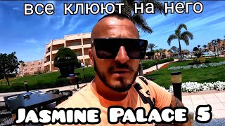 Популярный отель Пять звёзд  на 1линии Египет Jasmine Palace Resort  Хургада  Сервис номер завтрак