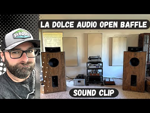 🔥BEST OPEN BAFFLE UNDER $10,000