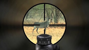 Leupold VX 3: Custom Dial System