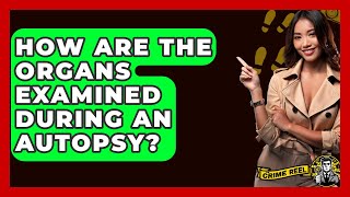 How Are The Organs Examined During An Autopsy? - The Crime Reel
