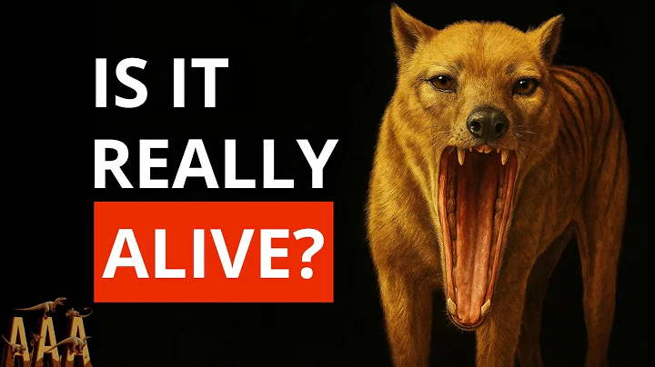 Scientists STUNNED by 2025 Tasmanian Tiger Evidence!