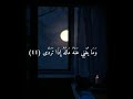سورة الليل القارئ شعبان الصياد
