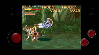 Nostalgia playing Game Warriors of Fate Android Mame Emulator screenshot 5