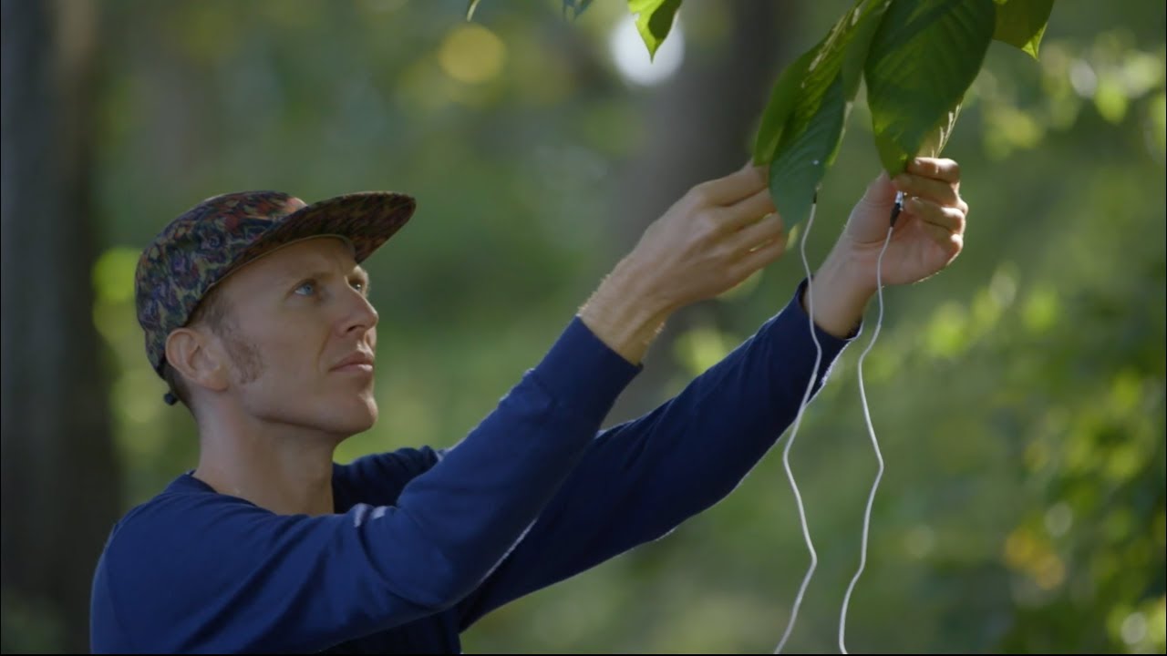 National Park Service Rivers & Trails - 