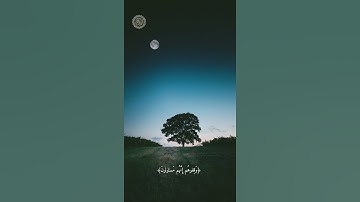 ﴿احشروا الذين ظلموا وأزواجهم وما كانوا يعبدون﴾ تلاوة من سورة الصافات