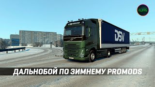 Дальнобой По Promods С Зимним Модом Png Winter #Ets2 1.49