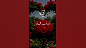 آمن الرسول بما انزل إليه من ربه 🤲 تلاوه خاشعه بصوت الشيخ #احمد_العجمي #قران_كريم #quran #اكسبلور