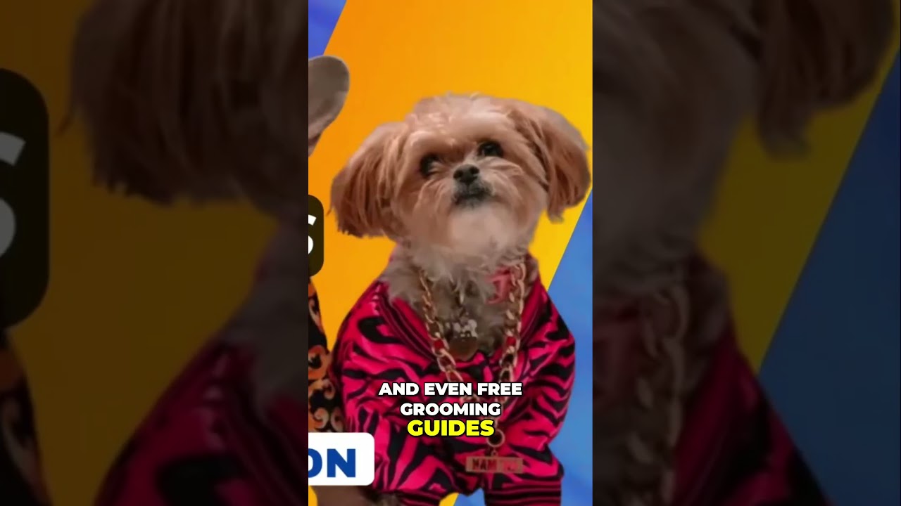 Ultimate Pet Care Essentials  Spoil Your Furry Friends