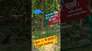 Tiger 🐅 के इलाके में jungel tracking 😱❗️ Jim Corbett national park #nature