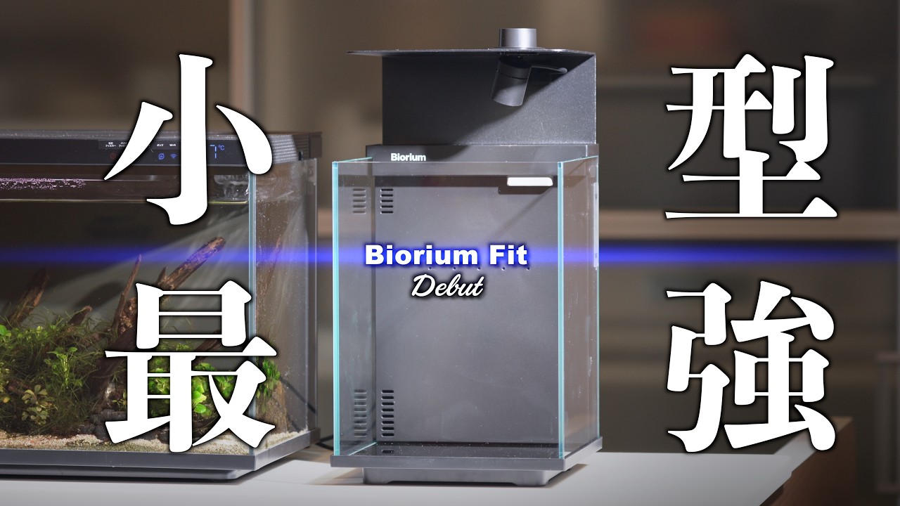 Fastest Review] Biorium 