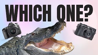 Who’s the Best Looking Alligator at Gatorland???