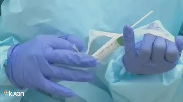 UT to launch mobile COVID-19 testing in student-concentrated areas