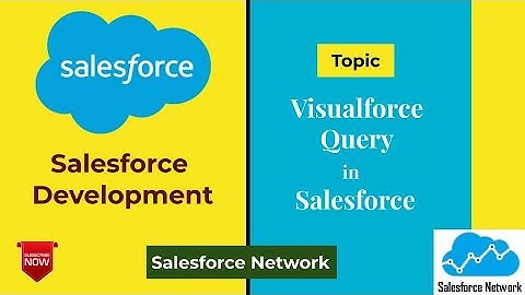 Day 20 Visualforce Query in Salesforce || Salesforce Network
