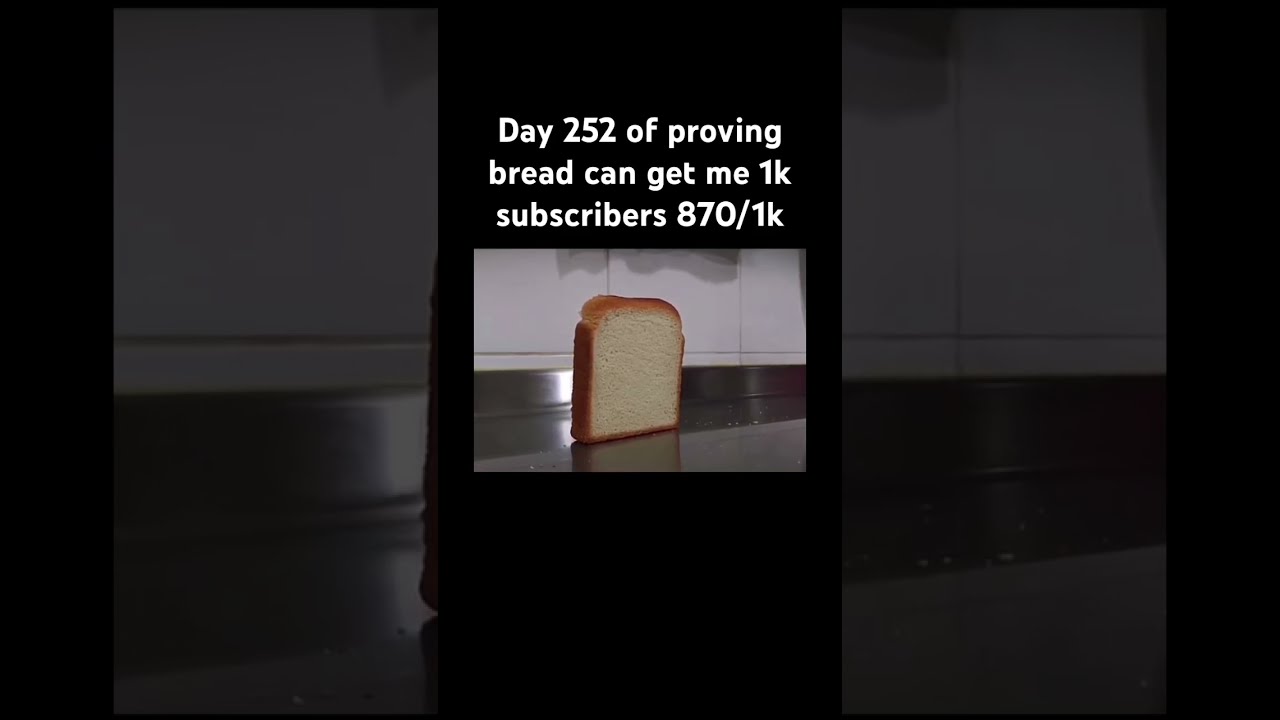Day 252