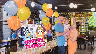 HARLEY'S 3rd BIRTHDAY HIGHLIGHTS || Thefewstertv