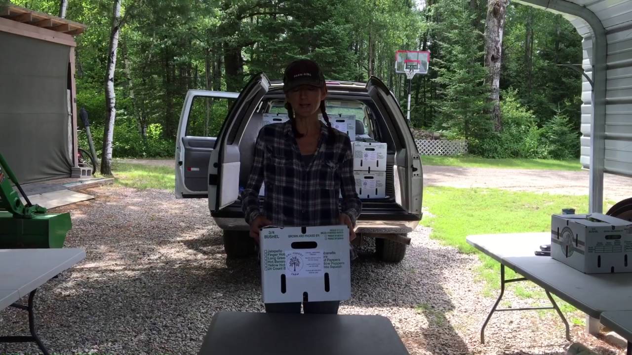 How to Open and Collapse Wax Produce Boxes