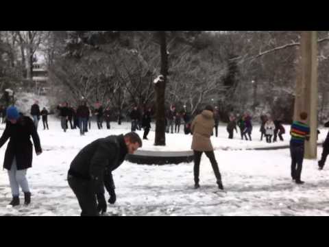 Video: Observaties Van Canada 