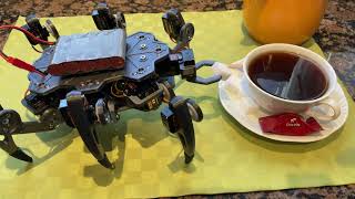 ZeroBug - Making Coffee