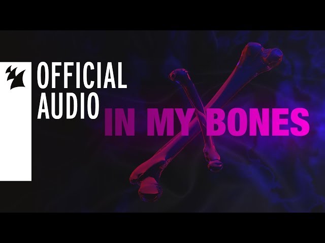 SUNNERY JAMES, RYAN MARCIANO, DAN MCALISTER - In My Bones