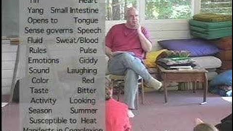 Five Element Theory in TCM: Fire