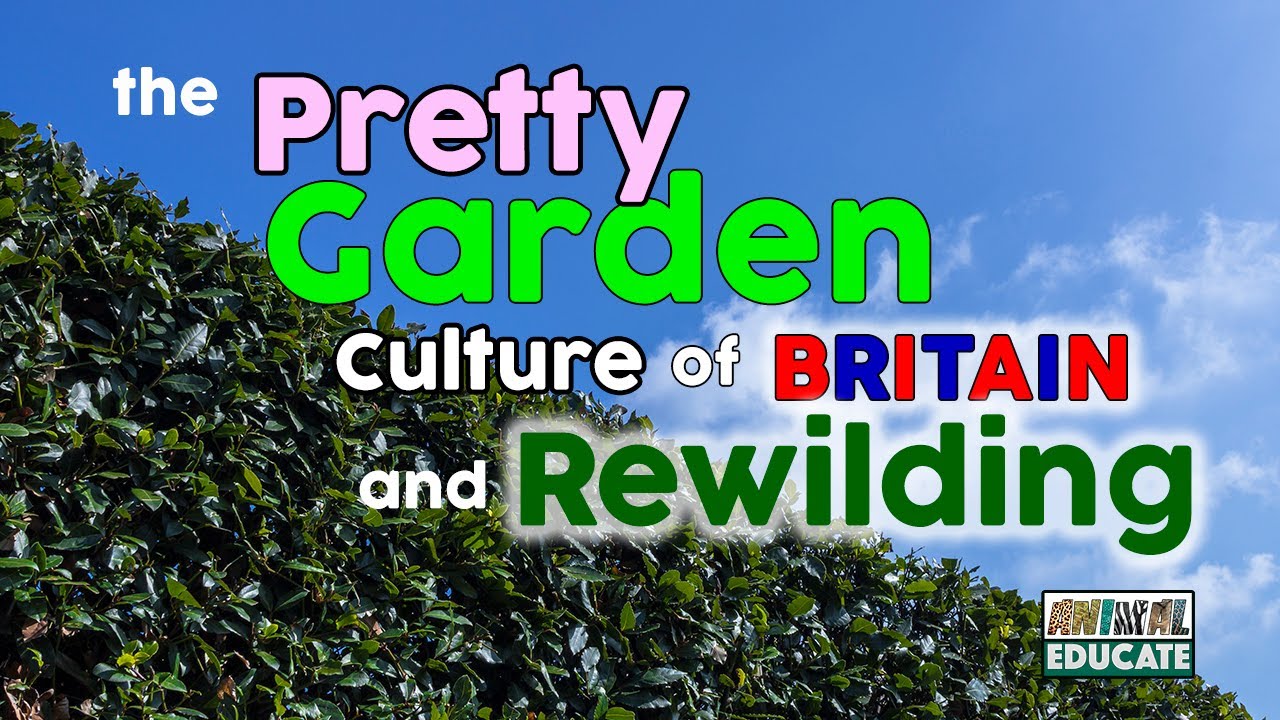 REWILDING BRITAIN 
- The Pretty Garden Culture of Britain and Rewilding