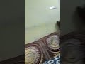 Afrah 1 