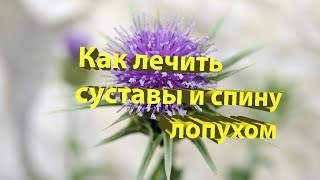 Как лечить суставы и спину лопухом Как лечить суставы и спину лопухом