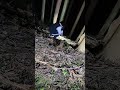 京都府の山奥で