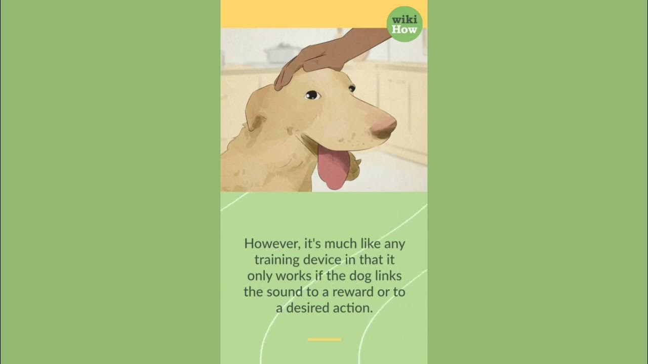 Do Silent Dog Whistles Really Work? YouTube