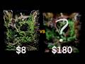 Cheap vs Expensive Vivarium Lights ($8–$180) | Which Is Best?