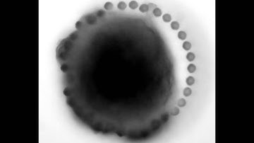 Microdevice arrays of high aspect ratio Poly(DiMethylSiloxane) pillars for the investigation of ...