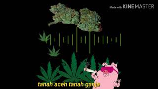 Momonon ~ tanah Aceh tanah ganja lirik