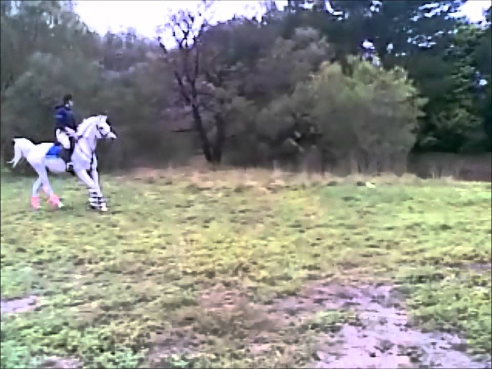 I'm very super famous