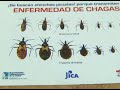 NOTA MEDICA - MAL DE CHAGAS