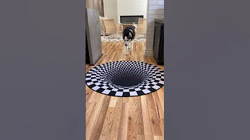 Dogs funny reaction to entering optical illusion rug! #shorts